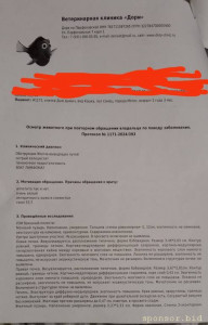 Нужна помощь - 1726773974884.jpg