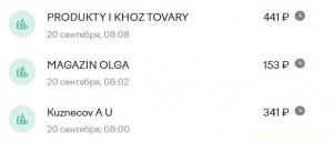 Уважаемые читатели. Пришлите хоть 50 рублей инвалиду на покушать - кпимпк.JPG