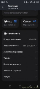 Прошу помощи погасить долги. - Screenshot_20241003-005929.jpg