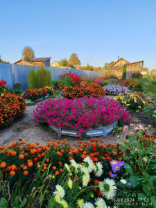 Мечта - Screenshot_2024-10-11-11-23-35-119_com.miui.gallery-edit.jpg