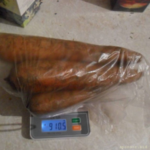 Уважаемые читатели. Пришлите хоть 50 рублей инвалиду на покушать - SAM_3897.JPG