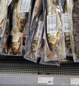 Уважаемые читатели. Пришлите хоть 50 рублей инвалиду на покушать - IMG_20241026_220321.jpg