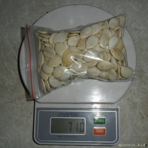 Уважаемые читатели. Пришлите хоть 50 рублей инвалиду на покушать - SAM_3908.JPG