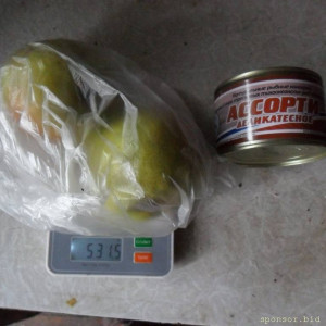 Уважаемые читатели. Пришлите хоть 50 рублей инвалиду на покушать - SAM_3918.JPG