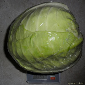 Уважаемые читатели. Пришлите хоть 50 рублей инвалиду на покушать - SAM_3902.JPG