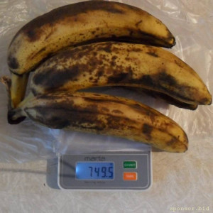 Уважаемые читатели. Пришлите хоть 50 рублей инвалиду на покушать - SAM_3931.JPG