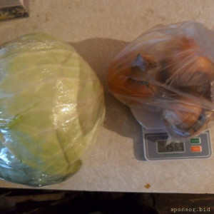 Уважаемые читатели. Пришлите хоть 50 рублей инвалиду на покушать - SAM_3929.JPG