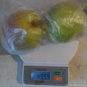 Уважаемые читатели. Пришлите хоть 50 рублей инвалиду на покушать - SAM_3943.JPG