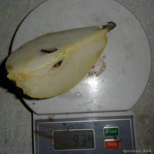 Уважаемые читатели. Пришлите хоть 50 рублей инвалиду на покушать - SAM_3978.JPG