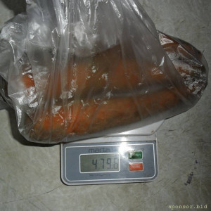 Уважаемые читатели. Пришлите хоть 50 рублей инвалиду на покушать - SAM_3982.JPG