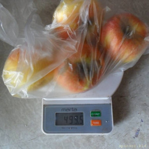 Уважаемые читатели. Пришлите хоть 50 рублей инвалиду на покушать - SAM_3986.JPG