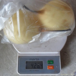 Уважаемые читатели. Пришлите хоть 50 рублей инвалиду на покушать - SAM_3988.JPG