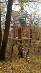 Дом на дереве: мечта превратилась в благотворительный проект - IMG_20241102_144121.jpg