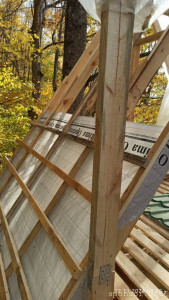 Дом на дереве: мечта превратилась в благотворительный проект - IMG_20241102_090824.jpg