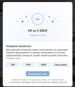 И вот так это выглядит, когда кто-то хочет пожертвовать на одну из целей