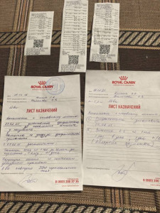 СРОЧНО ПОМОГИТЕ ЛЕВЕ - IMG_20250210_184441.jpg