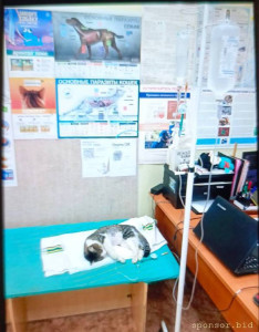 Очень надеемся на хороших людей !