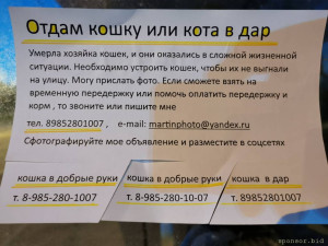 Распечатайте это обьявление и расклеивайте у себя на районе