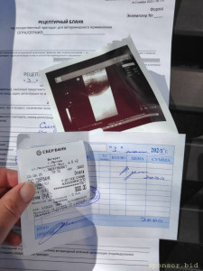 Помощь кошке на операцию  - IMG_0948.jpeg