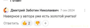 - Золотой унитаз это средний унитаз. Вы живете в какой-то параллельной со мной реальности.