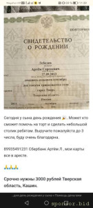 Помогите на день рождения ребенка - Screenshot_20250927_113904_com.yandex.browser.jpg