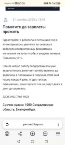 Помогите до зарплаты - Screenshot_20251101_000823_com.yandex.browser.jpg