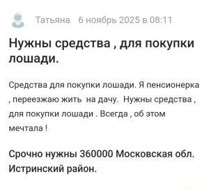 Нужны средства для покупки лошади. - Screenshot_20251106_092937.jpg