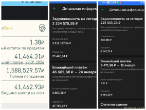 Помогите выбраться из долгов - Collage_20260110_221128.jpg