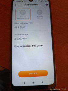 Помогите закрыть платеж в СФР - 17720963270926368357750669929241.jpg