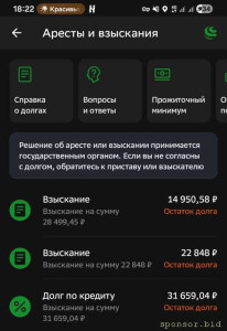 Помогите погасить задолженности - Screenshot_20260226_182245.jpg