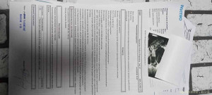 Моё заключение