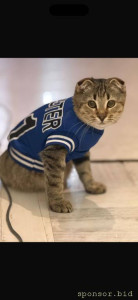 Нужна помощь, помочь коту выжить - IMG_0622.jpg