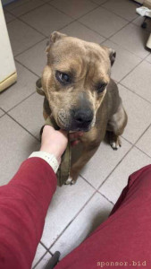 Помощь Мие с Катарактой обоих глаз - IMG_9731.jpeg