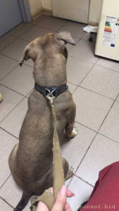 Помощь Мие с Катарактой обоих глаз - IMG_9730.jpeg