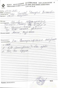 Помощь Мие с Катарактой обоих глаз - IMG_9740.jpeg