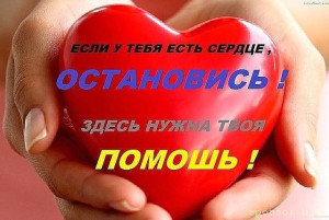 Срочно требуется Ваша помощь друзья  - d89b4f6s-960.jpg