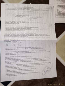 Заголовок: Егору 13, лечится 7 лет. Есть только мама и болезнь. - IMG_20260420_191340.jpg