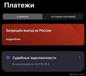 Прошу помощи о закрытии суд.задолжености - IMG_9954.jpeg