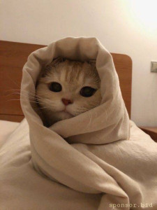 Прошу помощи о закрытии суд.задолжености - IMG_9967.jpeg