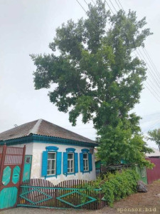 Нужны деньги - IMG_20260611_125742_567.jpg