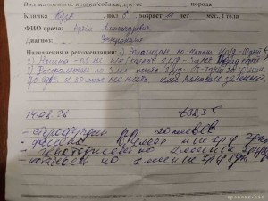 Спасите жизнь моему Коту  - IMG_20260815_004509_HDR.jpg