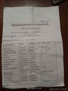 Анализ Мочи