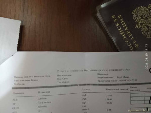Биохимия крови