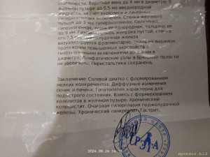 Спасите жизнь моему Коту  - IMG_20260826_141853_HDR.jpg