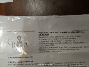 Спасите жизнь моему Коту  - IMG_20260826_141834_HDR.jpg