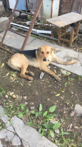 Сбор средств на операцию - C4D9FF2F-6670-4CF7-8A49-F1C3DF222966.jpeg