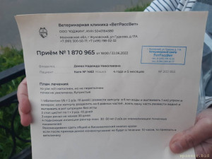 Помогите спасти Катю  - 16559212926744191537439831952534.jpg