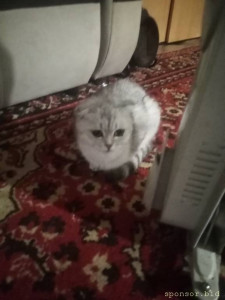 Помогите пожалуйста 129402; - IMG-435ff1014326af386b6399ea7a841a4b-V.jpg