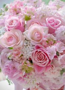 На пропитание - 152f0b645fe4b6a6922093ad593a7c4a.jpg