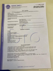 Помощь сбитой собачке - шанс био заключение.jpeg